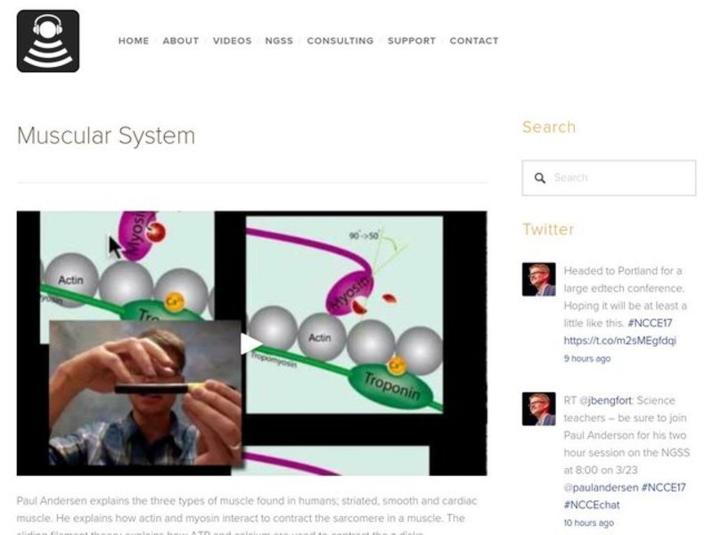 Muscular System Instructional Video