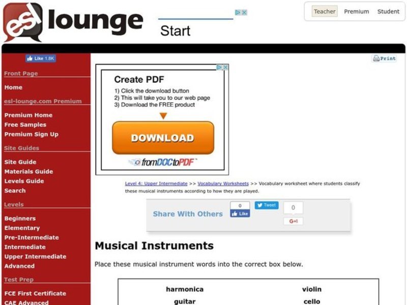 Musical Instruments Organizer