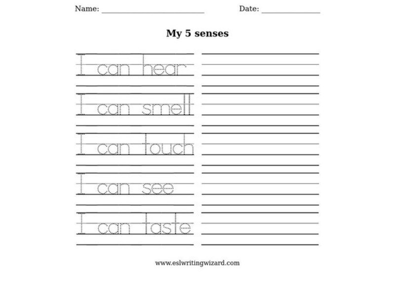 My 5 Senses Worksheet