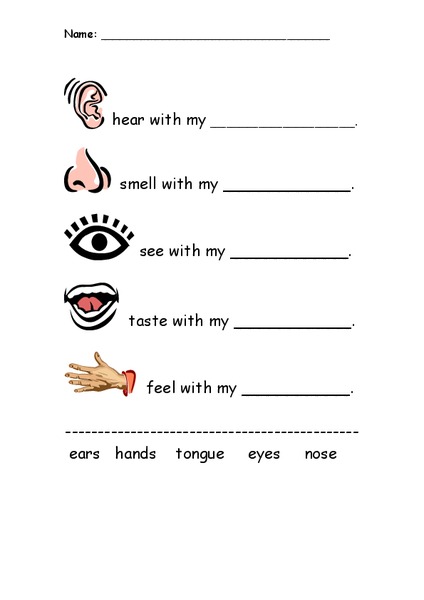 My Five Senses Worksheet