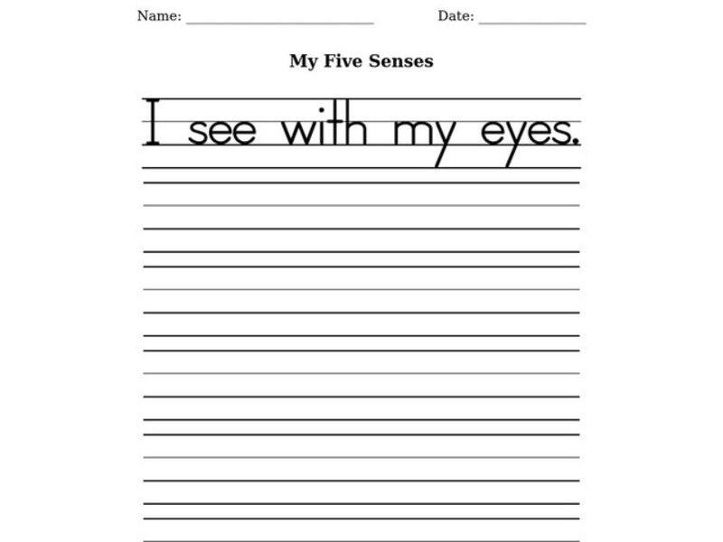 My Five Senses Worksheet