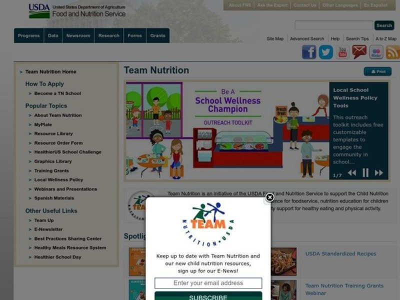 My Pyramid Organizer