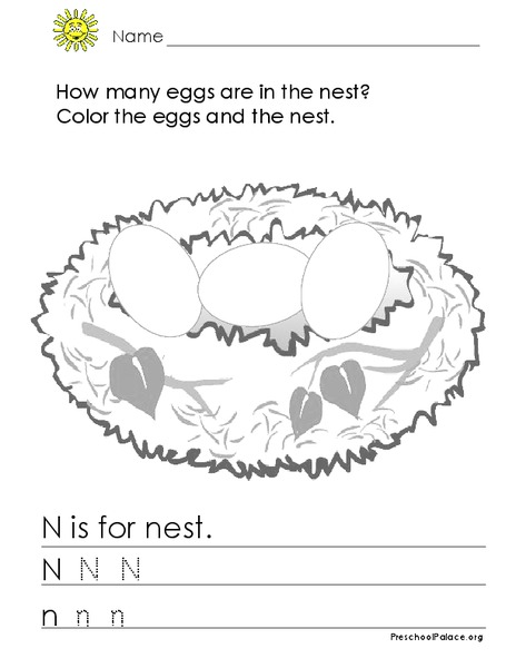 N is for Nest Lesson Plan