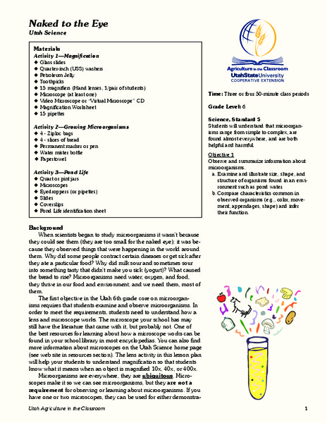 Naked to the Eye Lesson Plan