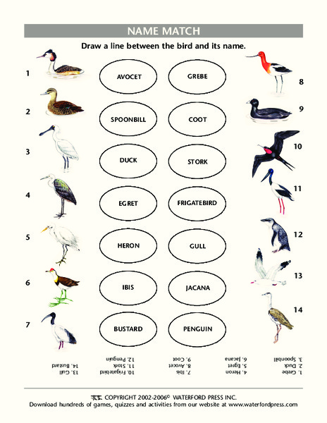Name Match Lesson Plan