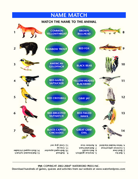 Name Match Lesson Plan
