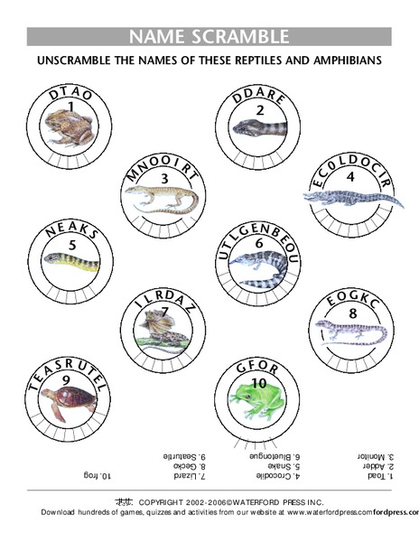 Name Scramble Lesson Plan