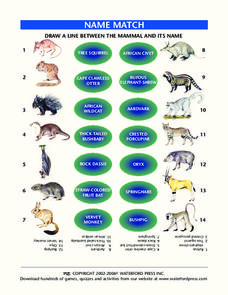 Name Match: Mammals Lesson Plan