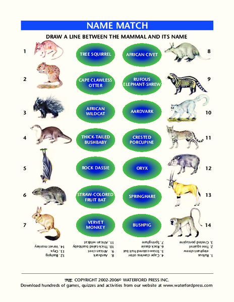 Name Match: Mammals Lesson Plan
