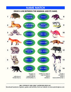 Name Match: Mammals Lesson Plan