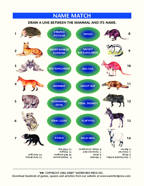 Name Match: Mammals Lesson Plan