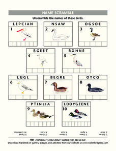 Name Scramble Lesson Plan