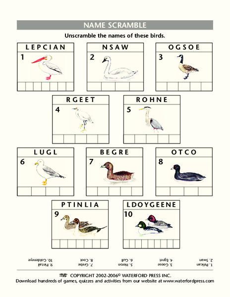 Name Scramble Lesson Plan