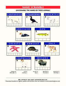 Name Scramble Lesson Plan