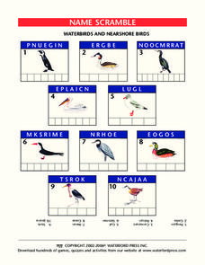 Name Scramble Lesson Plan