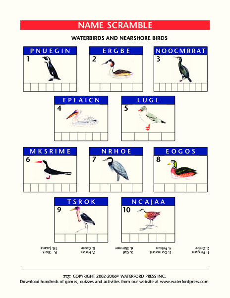 Name Scramble Lesson Plan