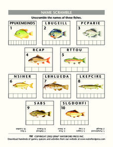 Name Scramble Lesson Plan