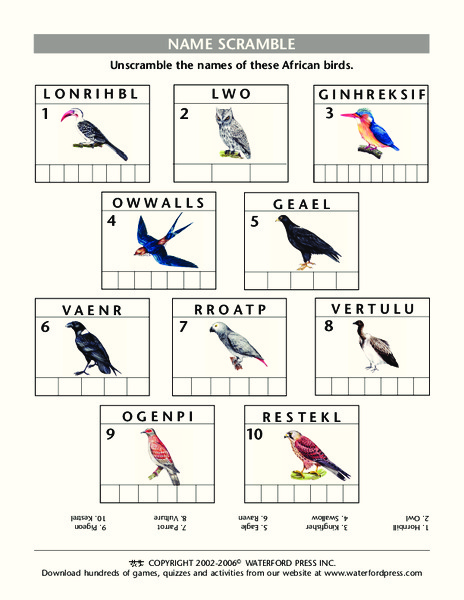 Name Scramble Lesson Plan