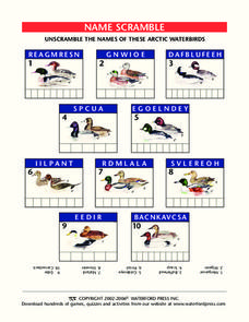 Name Scramble Lesson Plan