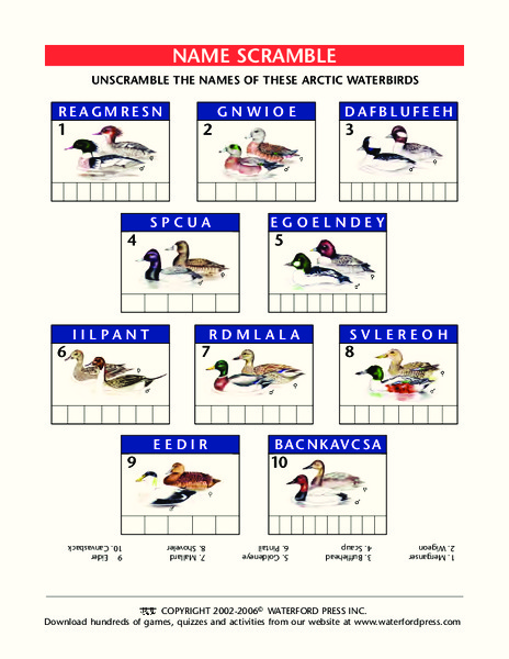 Name Scramble Lesson Plan