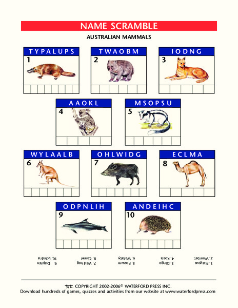 Name Scramble Lesson Plan
