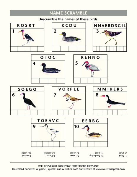 Name Scramble Lesson Plan