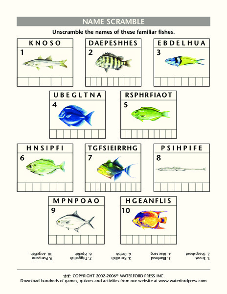 Name Scramble: Familiar Fishes Lesson Plan