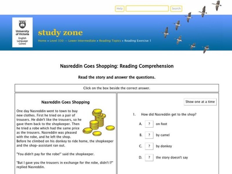 Nasreddin Goes Shopping Interactive