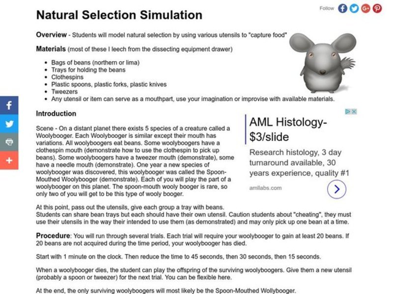 Natural Selection Lesson Plan