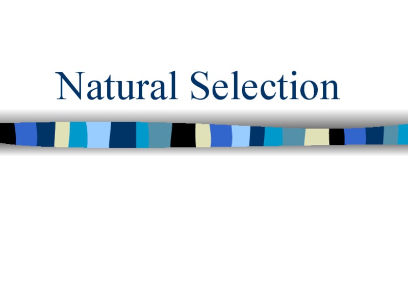 Natural Selection PPT