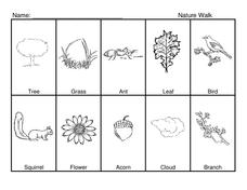Nature Walk Organizer