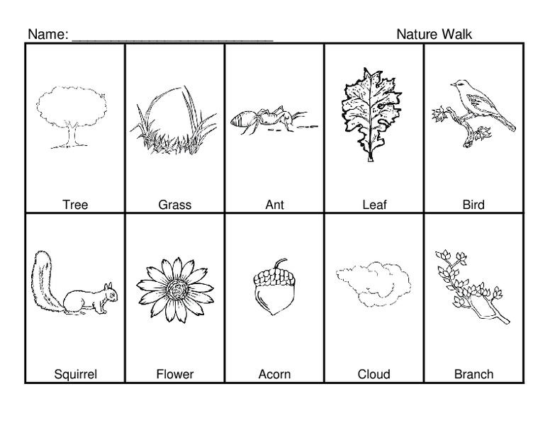 Nature Walk Organizer