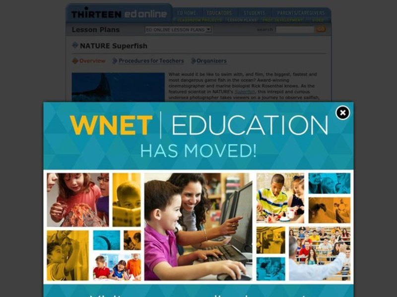 Nature Superfish Lesson Plan