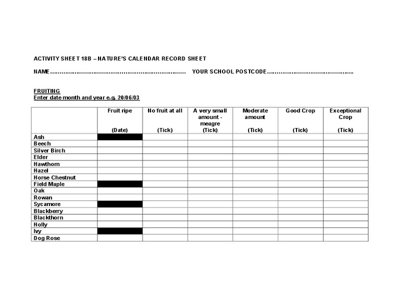 Nature's Calendar Organizer