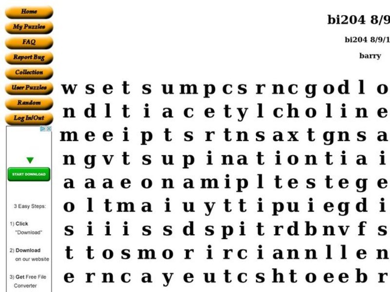 Nervous System Worksheet