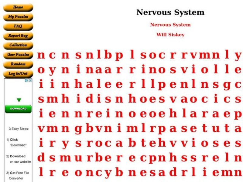 Nervous System Worksheet