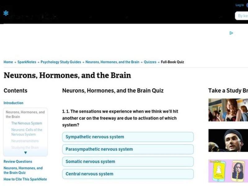 Neurons, Hormones and the Brain Worksheet
