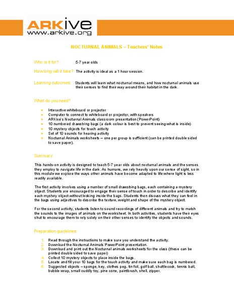 Nocturnal Animals Lesson Plan