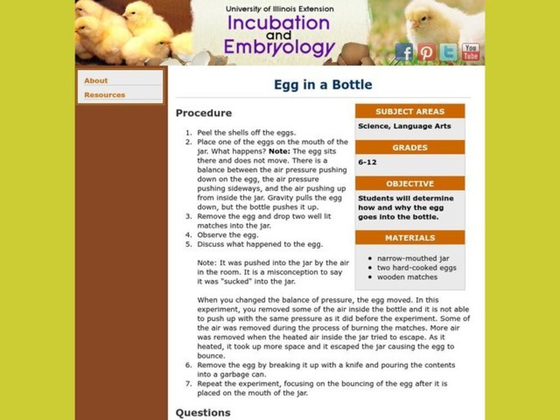 Egg in a Bottle Lesson Plan