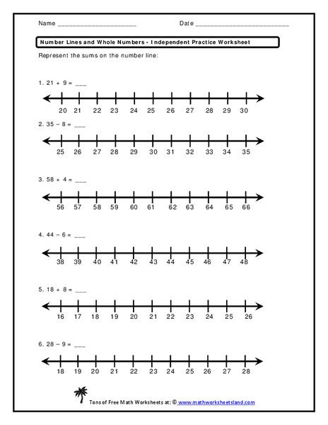 Number Lines and Whole Numbers Worksheet