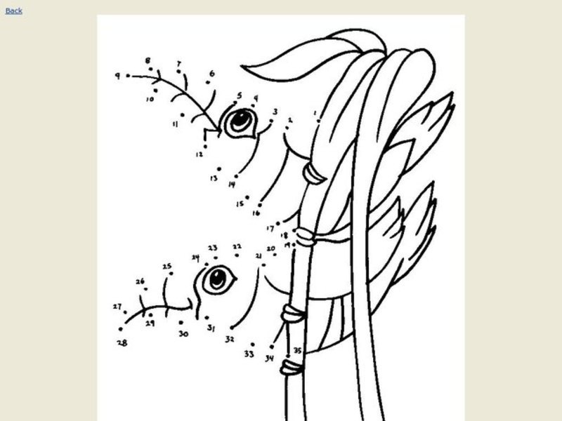 Number Pattern Worksheet