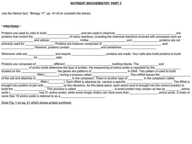 Nutrient Biochemistry Worksheet