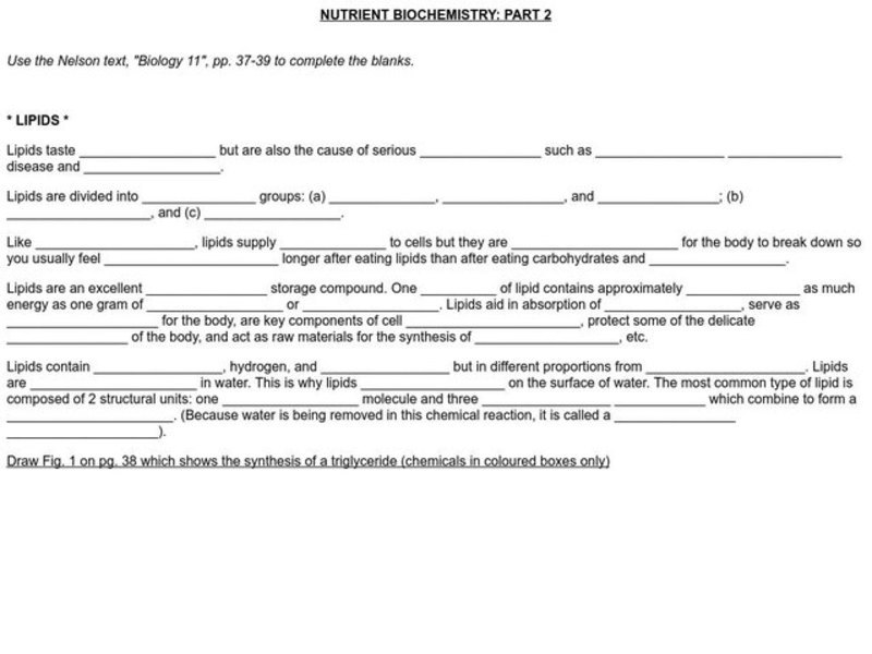 Nutrient Biochemistry Worksheet