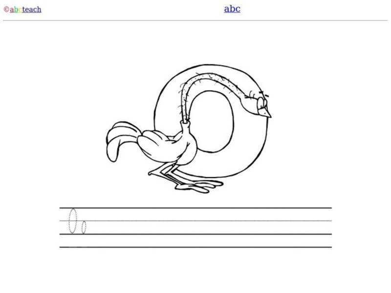O is for Ostrich Worksheet