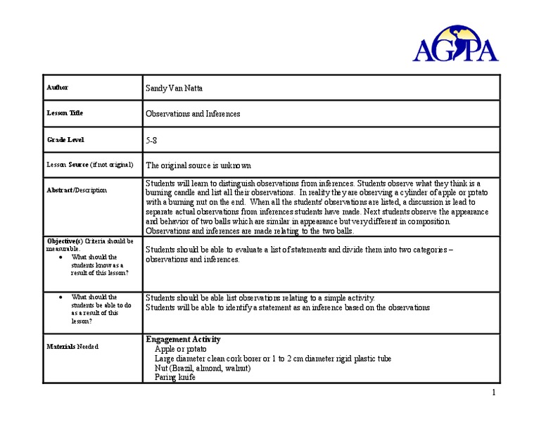 Observations and Inferences Lesson Plan