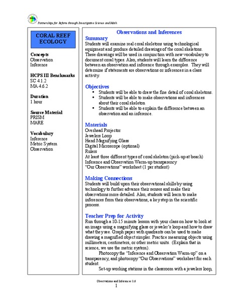 Observations and Inferences Lesson Plan