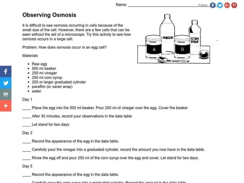 Observing Osmosis Lesson Plan