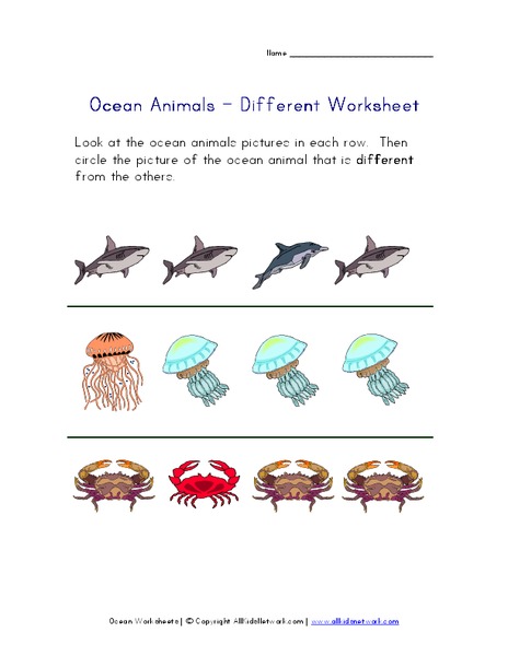 Ocean Animals - Different Worksheet Worksheet