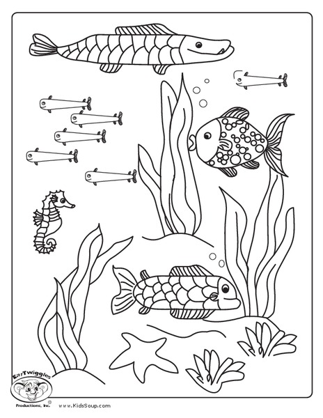 Ocean Life Worksheet