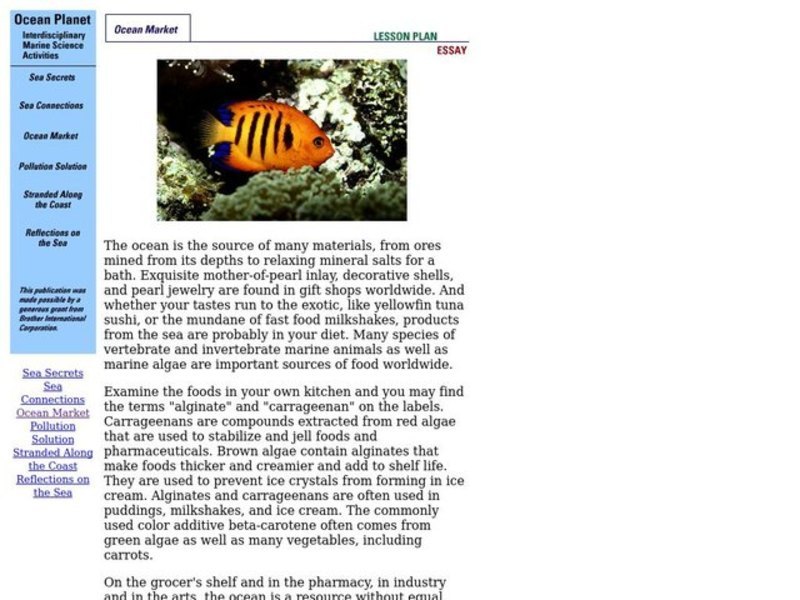 Ocean Market Lesson Plan